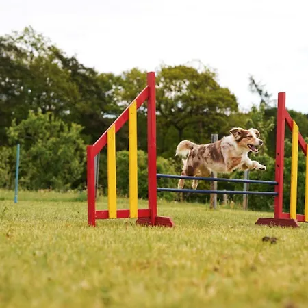 Hof Koehne - Altes - Dachstube Links アパート *