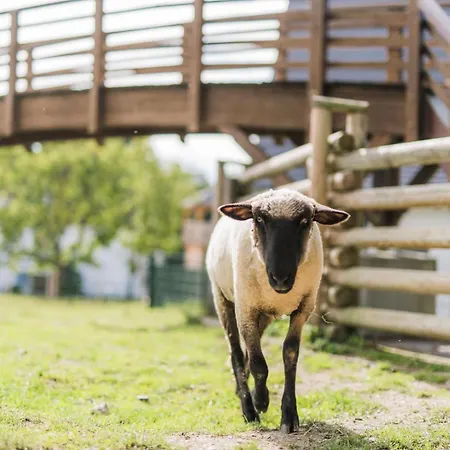 Hof Koehne - Altes - Dachstube Links