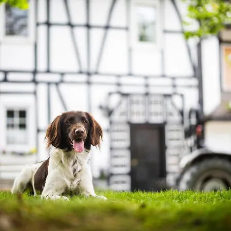 Hof Koehne - Altes - Dachstube Links アパート シュマレンベルク