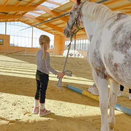 Hof Koehne - Altes - Dachstube Links *