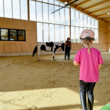 アパート Hof Koehne - Altes - Dachstube Links シュマレンベルク