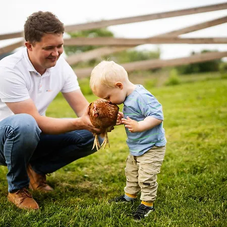 Hof Koehne - Altes - Dachstube Links アパート *