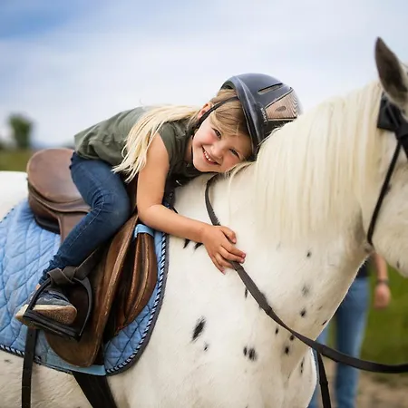 Hof Koehne - Altes - Dachstube Links アパート