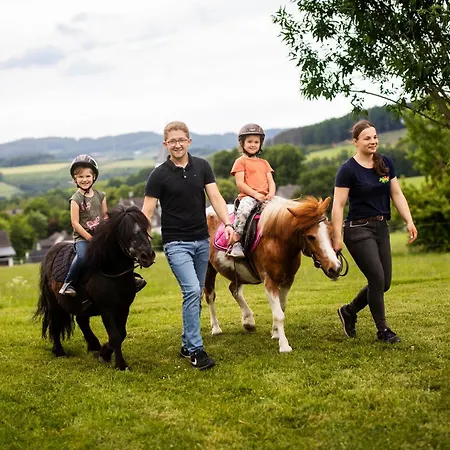 Hof Koehne - Altes - Dachstube Links * シュマレンベルク