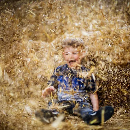 Hof Koehne - Altes - Dachstube Links シュマレンベルク