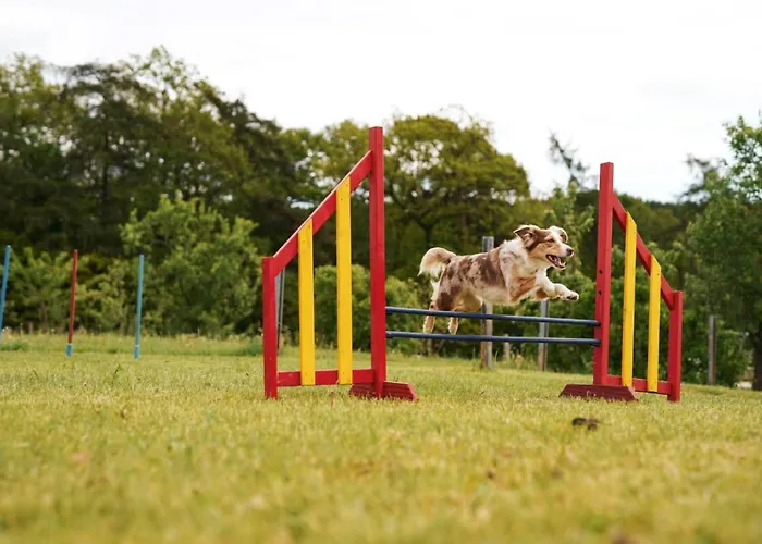 Hof Koehne - Altes - Dachstube Links Apartamento *