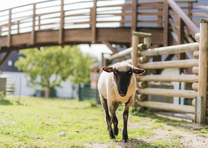 Hof Koehne - Altes - Dachstube Links