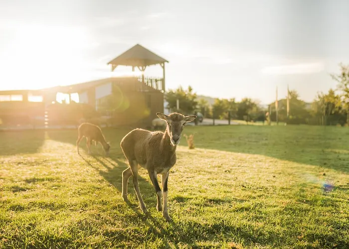Apartamento Hof Koehne - Altes - Dachstube Links