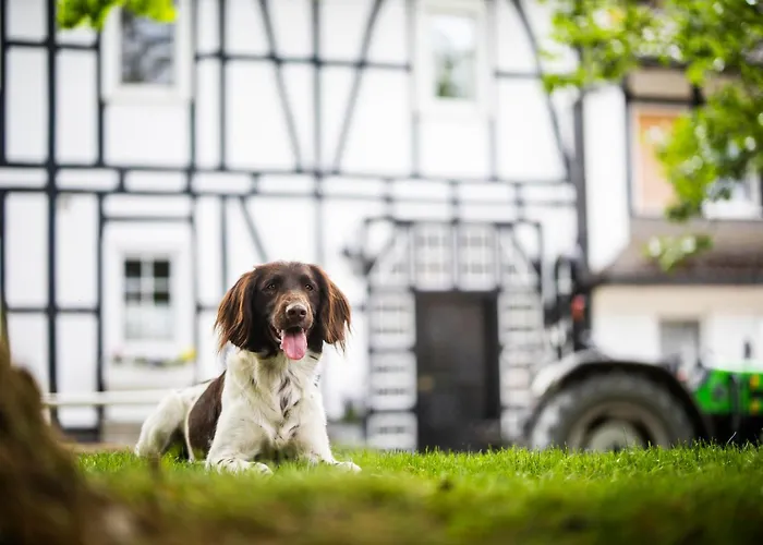 Hof Koehne - Altes - Dachstube Links Apartamento Schmallenberg